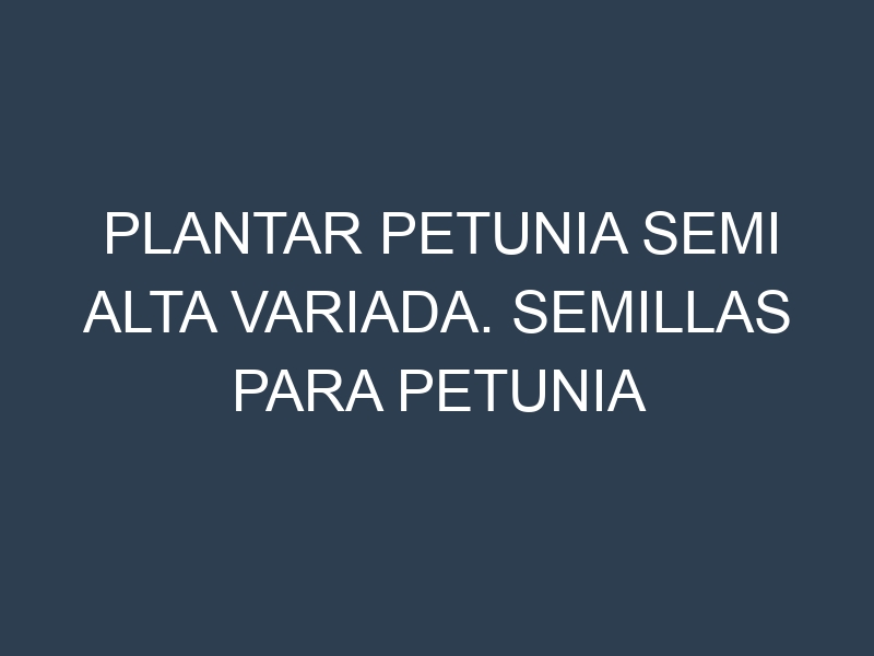 Plantar Petunia Semi Alta Variada. Semillas para Petunia Semi Alta Variada. Enfermedades Petunia Semi Alta Variada.