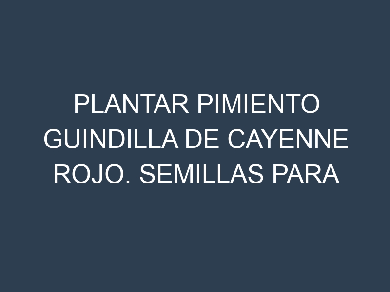 Plantar Pimiento Guindilla De Cayenne Rojo. Semillas para Pimiento Guindilla De Cayenne Rojo. Enfermedades Pimiento Guindilla De Cayenne Rojo.