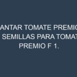 Plantar Tomate Premio F 1. Semillas para Tomate Premio F 1. Enfermedades Tomate Premio F 1.