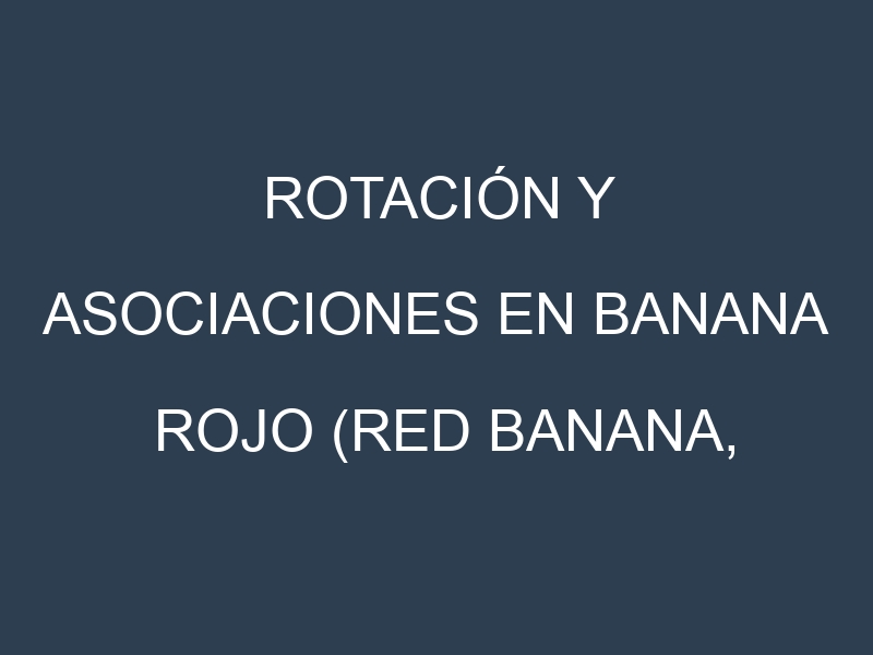 Rotación y Asociaciones en Banana Rojo (Red Banana, Jamaican Red, Pisang Raja, Claret Banana, Lakatan). Estrategias de rotación y Beneficios de las asociaciones de cultivos.