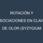 Rotación y Asociaciones en Clavo de olor (Syzygium aromaticum) (Zanzibar Clove, Penang, Madagascar Clove, Comoros, Indonesian). Estrategias de rotación y Beneficios de las asociaciones de cultivos.