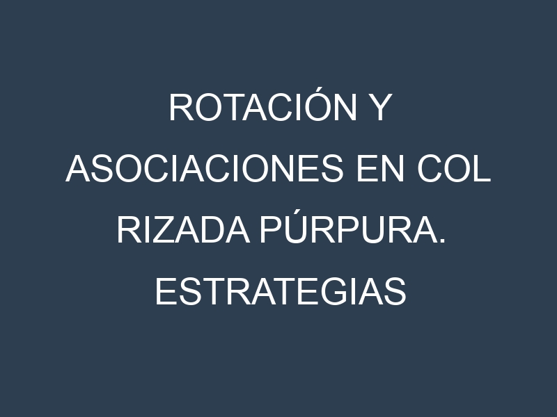 Rotación y Asociaciones en Col rizada púrpura. Estrategias de rotación y Beneficios de las asociaciones de cultivos.