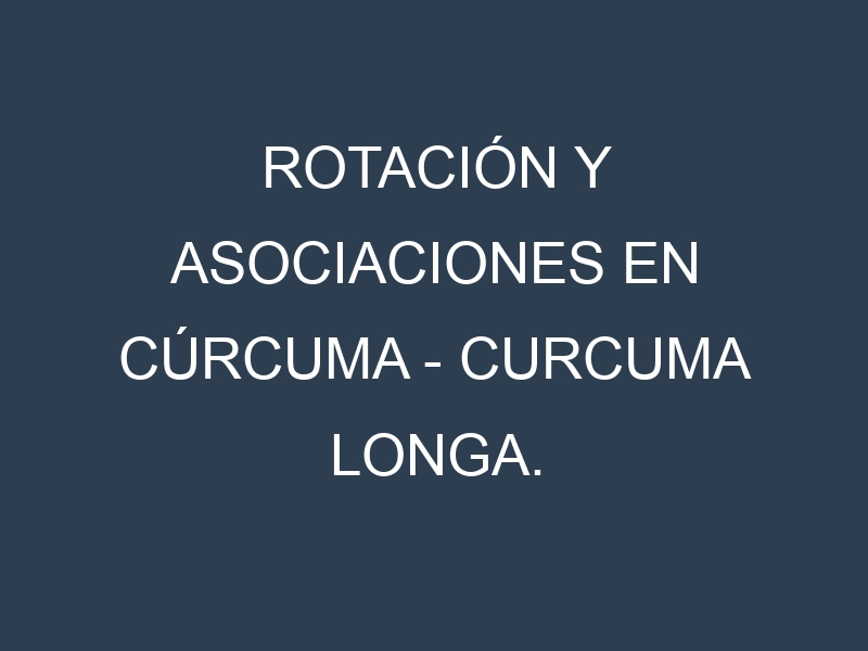 Rotación y Asociaciones en Cúrcuma – Curcuma longa. Estrategias de rotación y Beneficios de las asociaciones de cultivos.