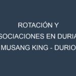 Rotación y Asociaciones en Durian Musang King – Durio zibethinus. Estrategias de rotación y Beneficios de las asociaciones de cultivos.