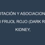 Rotación y Asociaciones en Frijol rojo (Dark Red Kidney, Light Red Kidney, Small Red, Red Mexican, Calima). Estrategias de rotación y Beneficios de las asociaciones de cultivos.