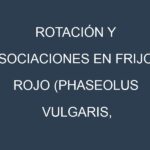 Rotación y Asociaciones en Frijol rojo (Phaseolus vulgaris, kidney bean). Estrategias de rotación y Beneficios de las asociaciones de cultivos.