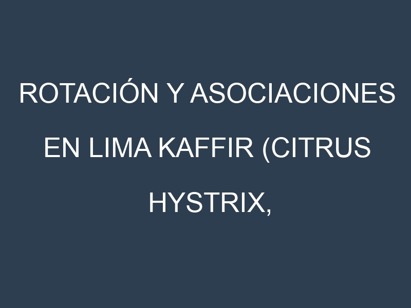 Rotación y Asociaciones en Lima kaffir (Citrus hystrix, kaffir lime). Estrategias de rotación y Beneficios de las asociaciones de cultivos.
