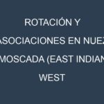 Rotación y Asociaciones en Nuez moscada (East Indian, West Indian, Sri Lankan, Banda, Grenada). Estrategias de rotación y Beneficios de las asociaciones de cultivos.