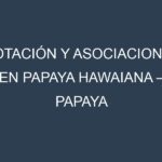 Rotación y Asociaciones en Papaya hawaiana – Papaya Sunrise. Estrategias de rotación y Beneficios de las asociaciones de cultivos.