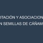 Rotación y Asociaciones en Semillas de cáñamo. Estrategias de rotación y Beneficios de las asociaciones de cultivos.