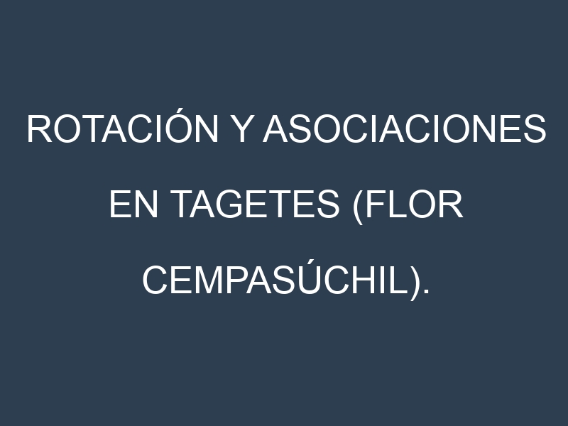 Rotación y Asociaciones en Tagetes (flor cempasúchil). Estrategias de rotación y Beneficios de las asociaciones de cultivos.