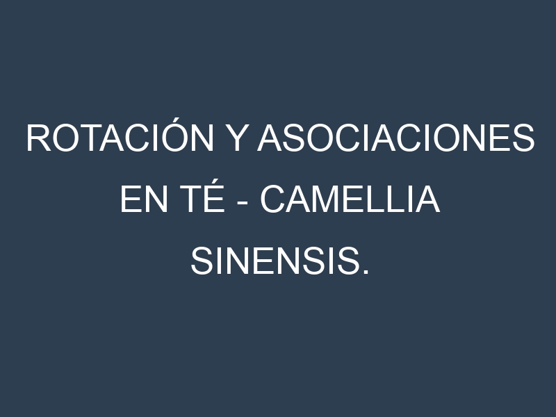 Rotación y Asociaciones en Té – Camellia sinensis. Estrategias de rotación y Beneficios de las asociaciones de cultivos.