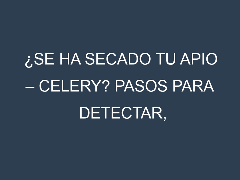 ¿Se ha secado tu Apio – Celery? Pasos para Detectar, Corregir y Prevenir.