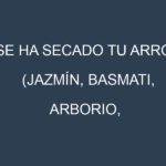 ¿Se ha secado tu Arroz (Jazmín, Basmati, Arborio, Carnaroli, Glutinoso)? Pasos para Detectar, Corregir y Prevenir.