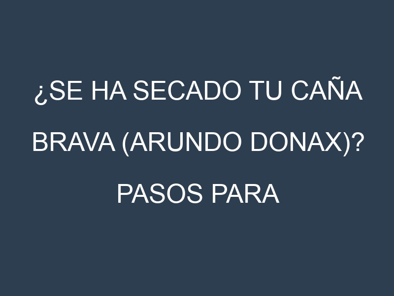 ¿Se ha secado tu Caña brava (Arundo donax)? Pasos para Detectar, Corregir y Prevenir.