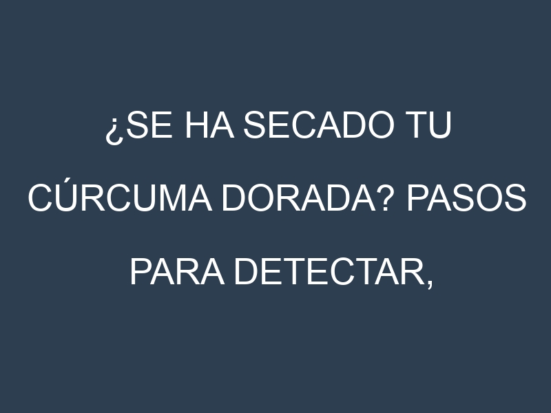 ¿Se ha secado tu Cúrcuma dorada? Pasos para Detectar, Corregir y Prevenir.
