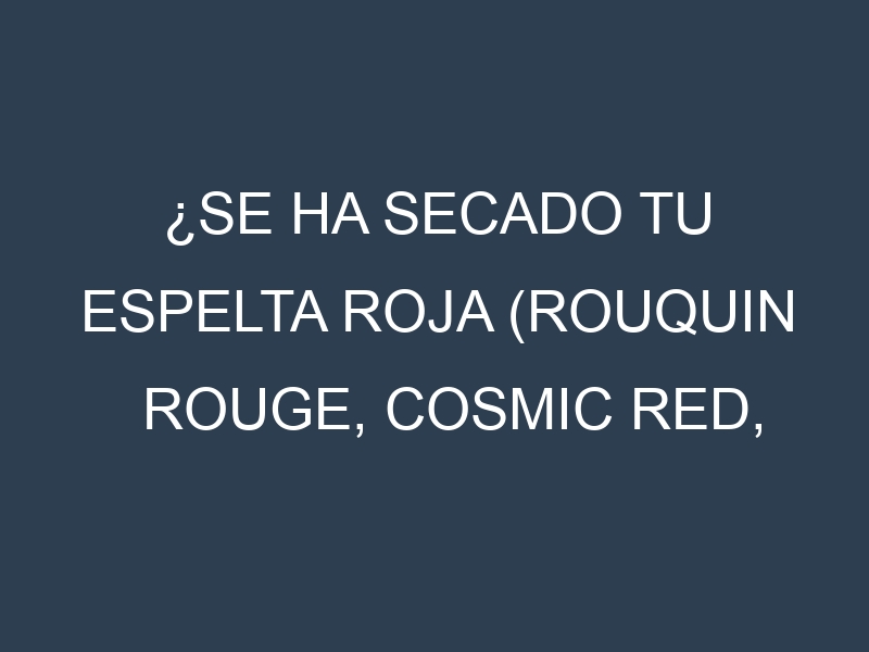 ¿Se ha secado tu Espelta roja (Rouquin Rouge, Cosmic Red, Red Oberkulmer, Red Emmer, Red Wheaton)? Pasos para Detectar, Corregir y Prevenir.