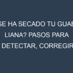 ¿Se ha secado tu Guaba liana? Pasos para Detectar, Corregir y Prevenir.