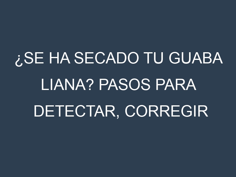 ¿Se ha secado tu Guaba liana? Pasos para Detectar, Corregir y Prevenir.