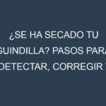 ¿Se ha secado tu Guindilla? Pasos para Detectar, Corregir y Prevenir.