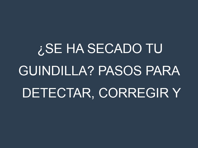 ¿Se ha secado tu Guindilla? Pasos para Detectar, Corregir y Prevenir.