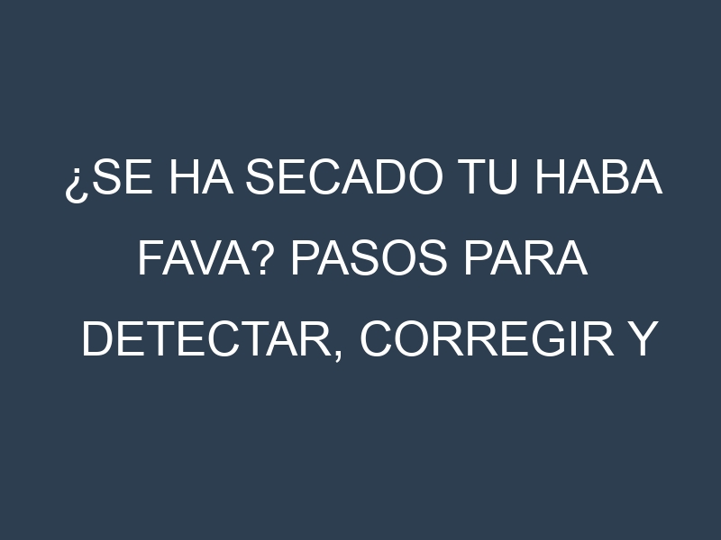 ¿Se ha secado tu Haba fava? Pasos para Detectar, Corregir y Prevenir.