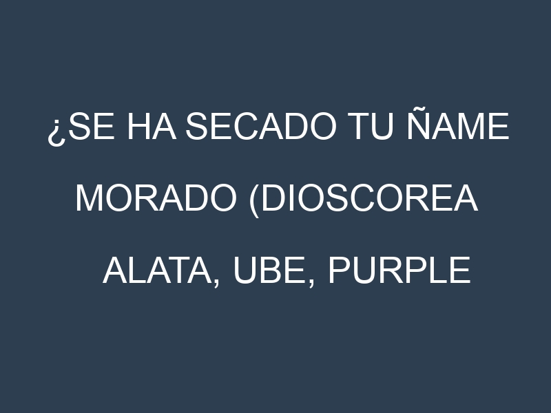 ¿Se ha secado tu Ñame morado (Dioscorea alata, Ube, Purple Yam, Dioscorea Esculenta, Malanga)? Pasos para Detectar, Corregir y Prevenir.