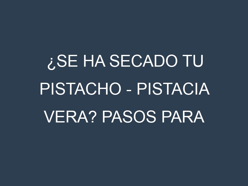 ¿Se ha secado tu Pistacho – Pistacia vera? Pasos para Detectar, Corregir y Prevenir.