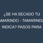 ¿Se ha secado tu Tamarindo – Tamarindus indica? Pasos para Detectar, Corregir y Prevenir.