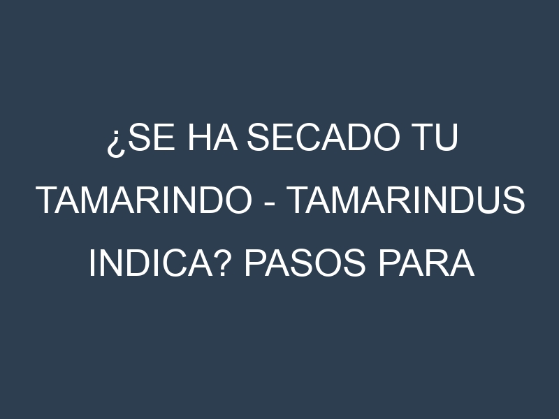 ¿Se ha secado tu Tamarindo – Tamarindus indica? Pasos para Detectar, Corregir y Prevenir.