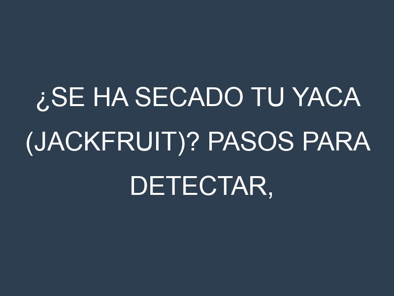 ¿Se ha secado tu Yaca (jackfruit)? Pasos para Detectar, Corregir y Prevenir.