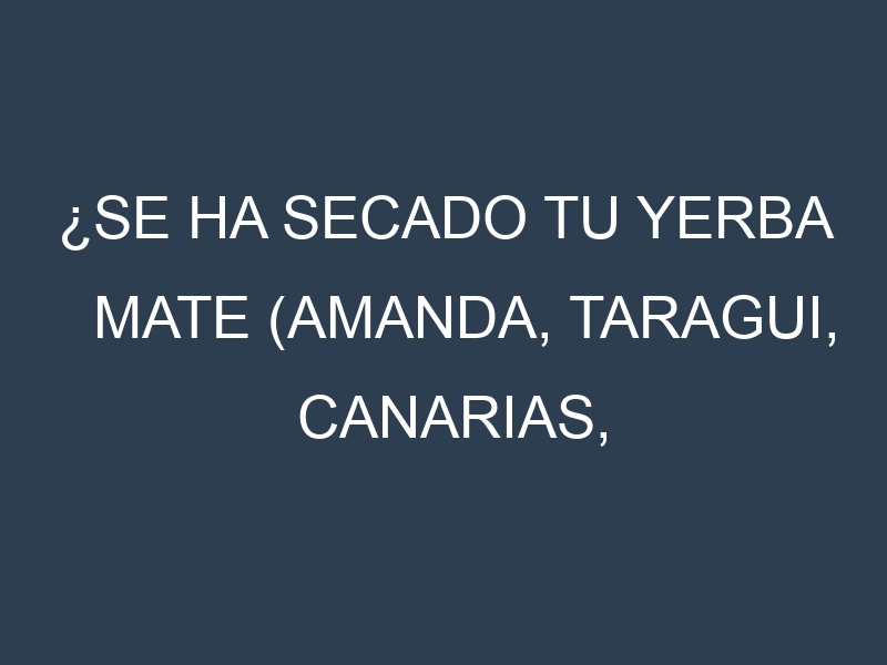 ¿Se ha secado tu Yerba mate (Amanda, Taragui, Canarias, Cruz de Malta, La Tranquera)? Pasos para Detectar, Corregir y Prevenir.