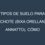 Tipos de suelo para Achote (Bixa orellana, annatto). Cómo ajustar las condiciones del suelo.