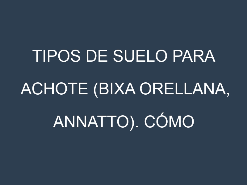 Tipos de suelo para Achote (Bixa orellana, annatto). Cómo ajustar las condiciones del suelo.