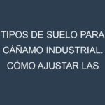 Tipos de suelo para Cáñamo industrial. Cómo ajustar las condiciones del suelo.