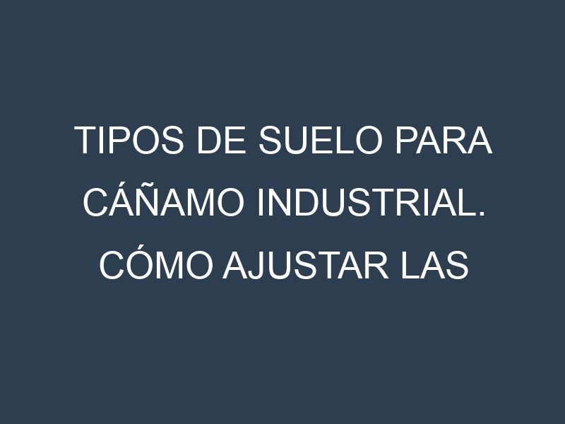 Tipos de suelo para Cáñamo industrial. Cómo ajustar las condiciones del suelo.