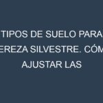 Tipos de suelo para Cereza silvestre. Cómo ajustar las condiciones del suelo.