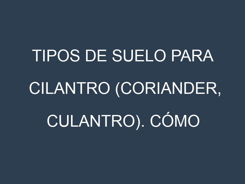 Tipos de suelo para Cilantro (Coriander, culantro). Cómo ajustar las condiciones del suelo.