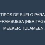 Tipos de suelo para Frambuesa (Heritage, Meeker, Tulameen, Willamette, Autumn Bliss). Cómo ajustar las condiciones del suelo.