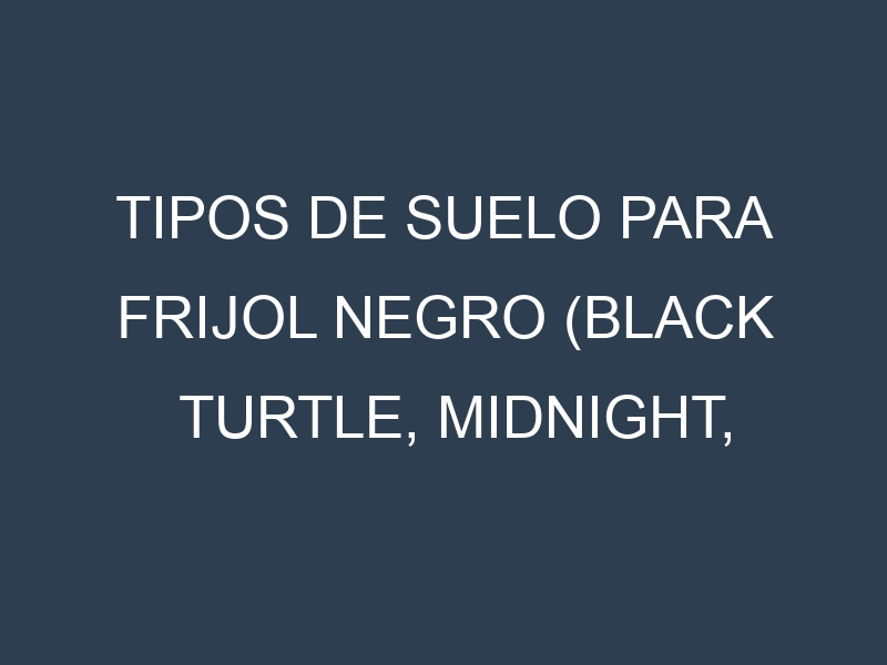 Tipos de suelo para Frijol negro (Black Turtle, Midnight, Domino, Black Magic, Black Valentine). Cómo ajustar las condiciones del suelo.