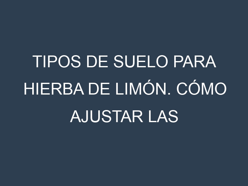 Tipos de suelo para Hierba de limón. Cómo ajustar las condiciones del suelo.