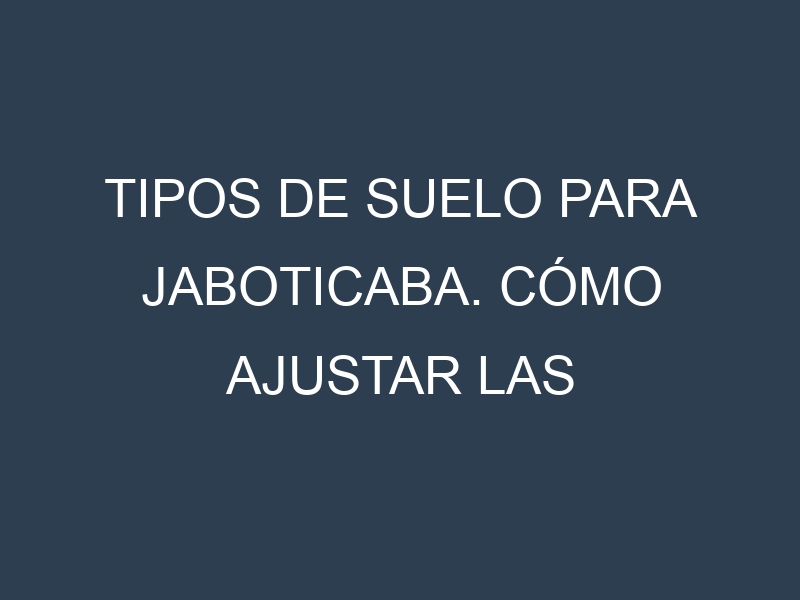 Tipos de suelo para Jaboticaba. Cómo ajustar las condiciones del suelo.