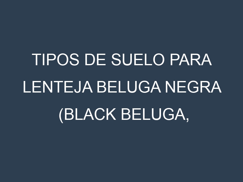 Tipos de suelo para Lenteja beluga negra (Black Beluga, Spanish Beluga, Petite Noir, Beluga Russe, French Black). Cómo ajustar las condiciones del suelo.
