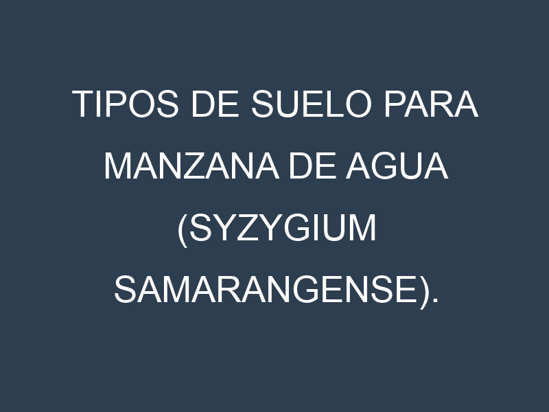 Tipos de suelo para Manzana de agua (Syzygium samarangense). Cómo ajustar las condiciones del suelo.