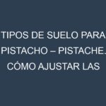 Tipos de suelo para Pistacho – Pistache. Cómo ajustar las condiciones del suelo.
