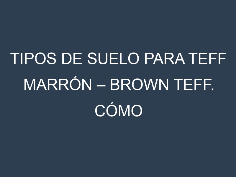 Tipos de suelo para Teff marrón – Brown teff. Cómo ajustar las condiciones del suelo.