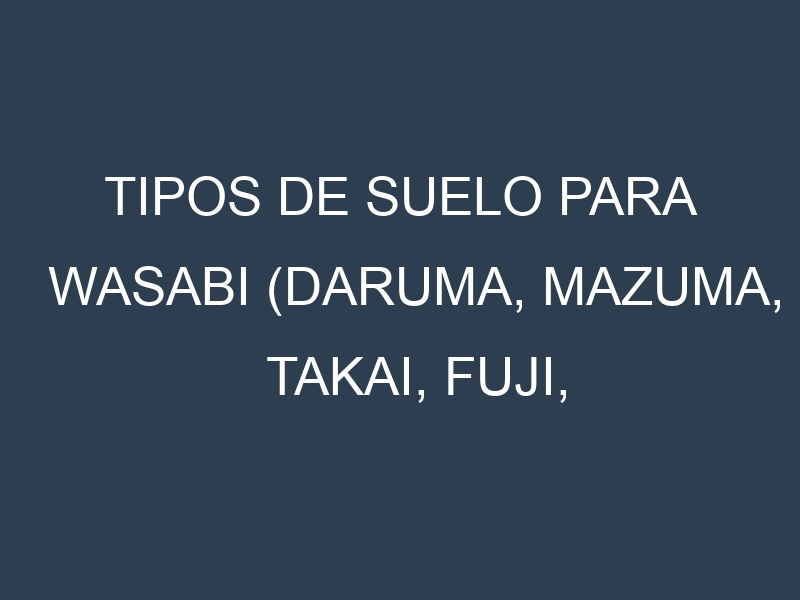 Tipos de suelo para Wasabi (Daruma, Mazuma, Takai, Fuji, Kuro). Cómo ajustar las condiciones del suelo.