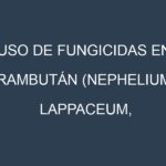 Uso de Fungicidas en Rambután (Nephelium lappaceum, Rongrien, Java, Lebak Bulus): Todo lo que Necesitas Saber
