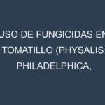 Uso de Fungicidas en Tomatillo (Physalis philadelphica, Verde Puebla, Toma Verde, Cisineros): Todo lo que Necesitas Saber