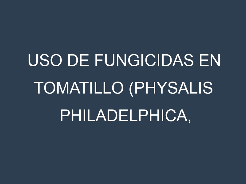 Uso de Fungicidas en Tomatillo (Physalis philadelphica, Verde Puebla, Toma Verde, Cisineros): Todo lo que Necesitas Saber